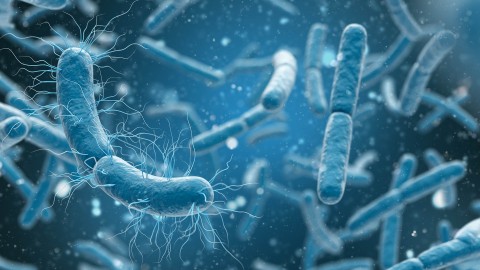 Il pericolo microbiologico: intossicazioni, infezioni e tossinfezioni